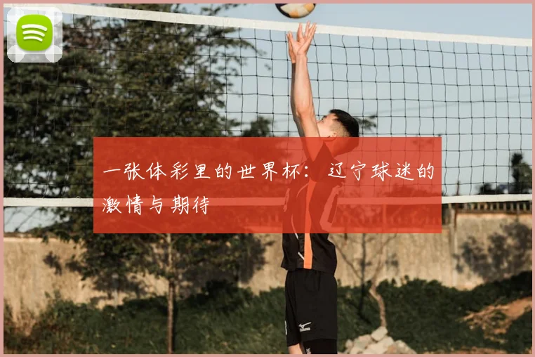 一张体彩里的世界杯：辽宁球迷的激情与期待