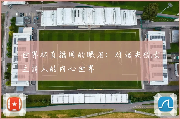 世界杯直播间的眼泪：对话央视女主持人的内心世界