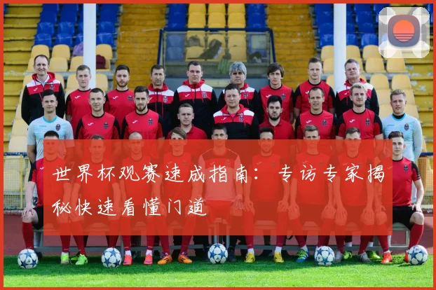 世界杯观赛速成指南：专访专家揭秘快速看懂门道
