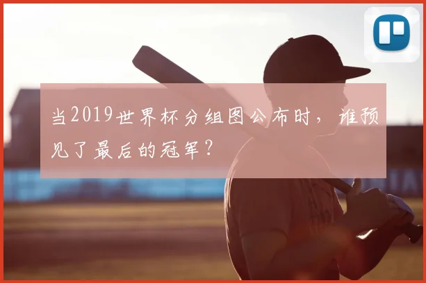 当2019世界杯分组图公布时，谁预见了最后的冠军？