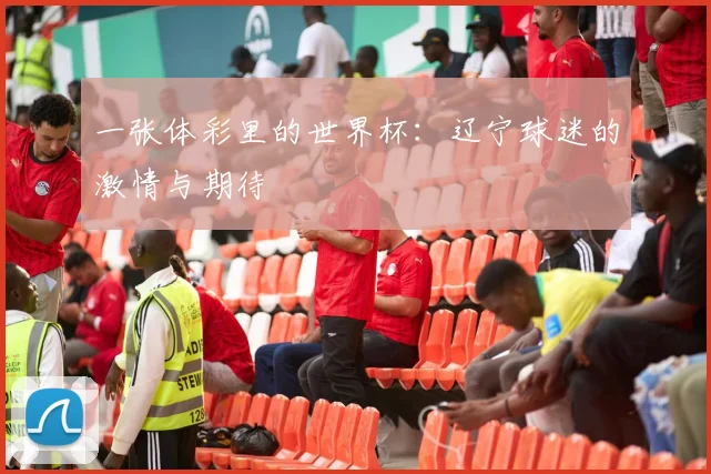 一张体彩里的世界杯：辽宁球迷的激情与期待