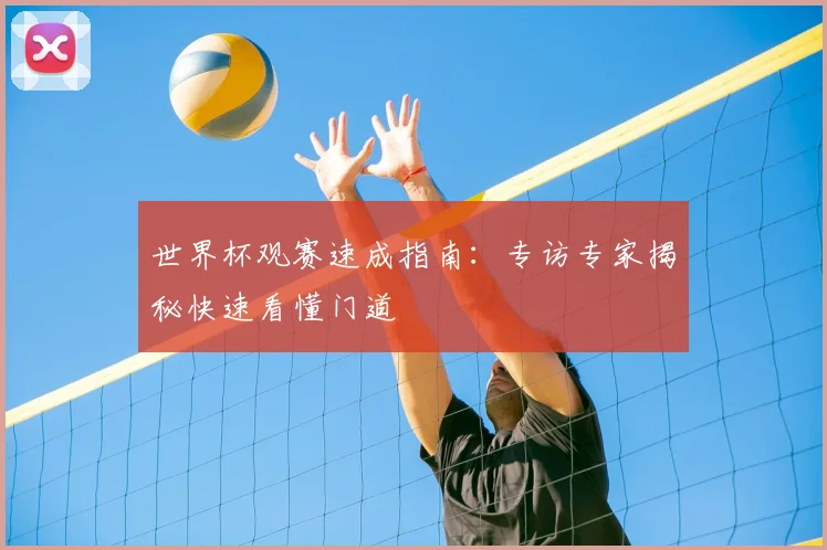 世界杯观赛速成指南：专访专家揭秘快速看懂门道