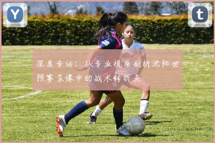 深度专访：从专业视角剖析沈阳世预赛录像中的战术转折点