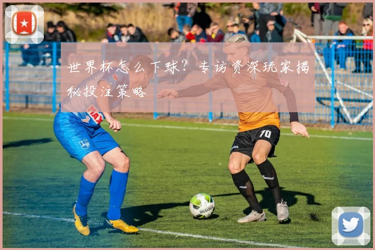 世界杯怎么下球？专访资深玩家揭秘投注策略