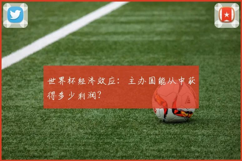 世界杯经济效应：主办国能从中获得多少利润？