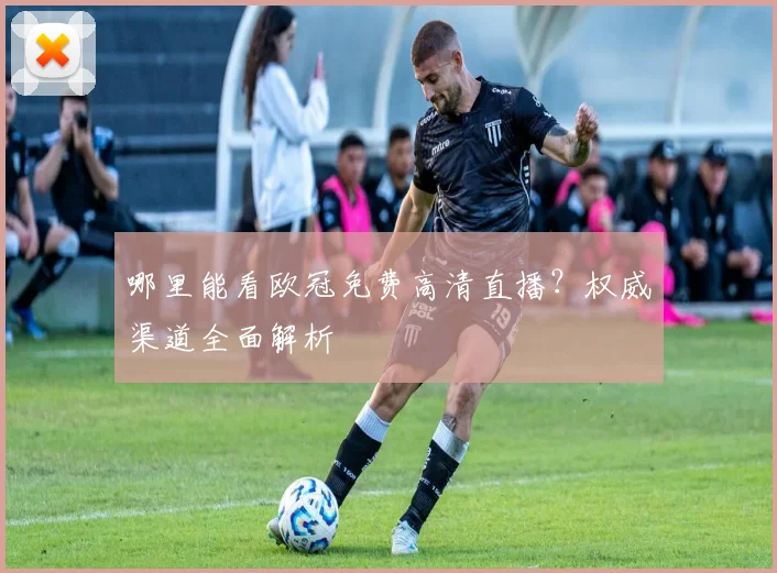 哪里能看欧冠免费高清直播？权威渠道全面解析